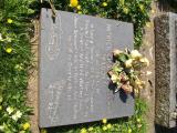 image of grave number 538241